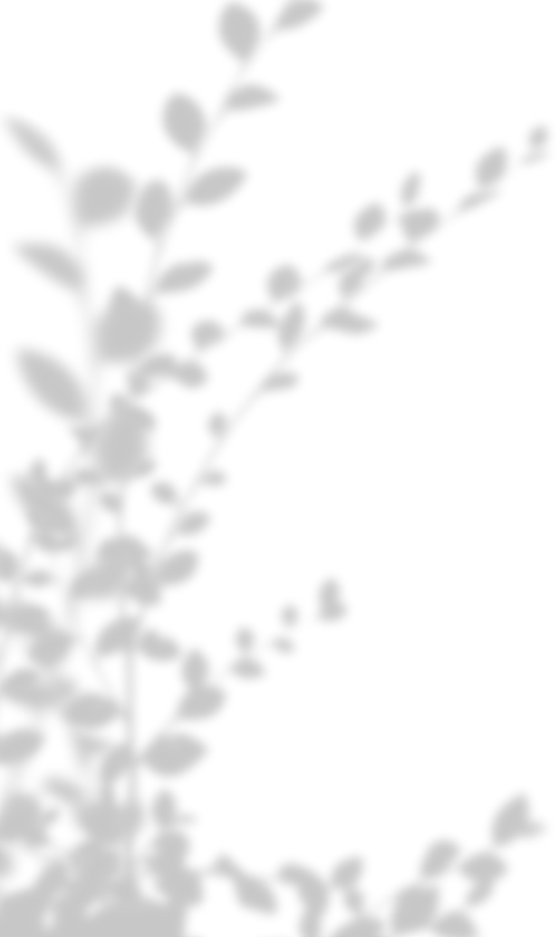 Plant Shadow Illustration