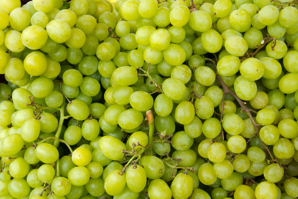 Green grape